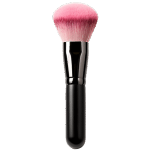 Makeup Brush